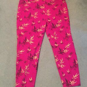 Soft Surroundings Size 2XL  Hot Pink Pants